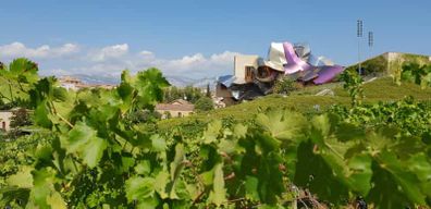 De Saint-Sébastien/Bilbao/Vitoria : visite des vignobles de La Rioja