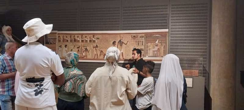 Visite guidée exclusive de la bibliothèque d'Alexandrie à pied