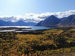 Whitehorse : Kluane - Faune et panoramas