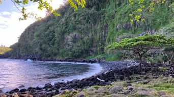 Sud Sauvage de La Réunion : cascades, nature et route des laves
