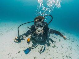 Plongée sous-marine dans l'atoll de South Ari, Maaya Thila