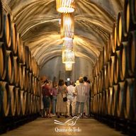 Vallée du Douro : vignobles à Quinta do Tedo et dégustations