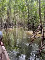 Île de Pemba : excursion à la plage de Vumawimbi avec collations