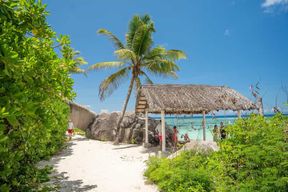 Seychelles : Excursion d'une journée sur l'île de Praslin et l'île de La Digue