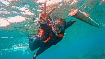 Excursion à Bohol : dauphins, Balicasag, Pamilacan et Virgin Island