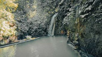 Bali : Promenade dans le jardin botanique Rizières en terrasses et sources d'eau chaude naturelles