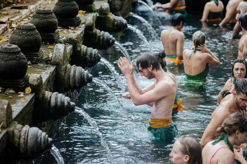 Ubud : Forêt des singes, rizières en terrasses de Ceking et plus encore - Journée complète