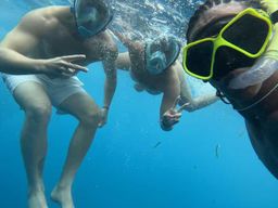 Dauphins et plongée avec tuba à Mnemba : au départ de Matemwe, Pwani, Kwingwa, Uroa.