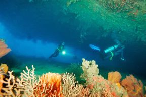 SANTO : SS President Coolidge et Million Dollar Point Dive