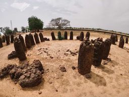 Sénégal : safari de 5 jours et 4 nuits et visite nocturne de villages