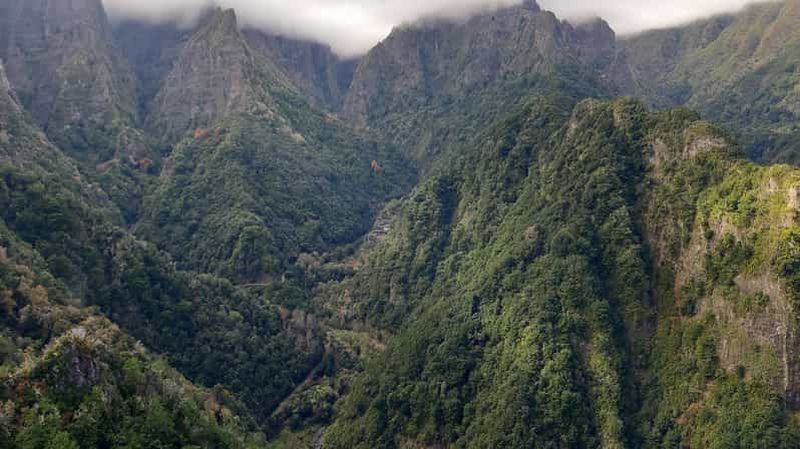 Madère : Randonnée privée de 1,5 km à Levada dos Balcões PR11