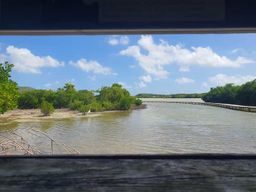 La tournée des plages et visite d'une Rhumerie au Marin avec chauffeur