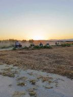 Hammamet : Sortie En Quad Dans Les Collines