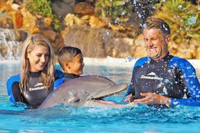 Algarve Zoomarine Ticket et Dolphin Emotions Experience