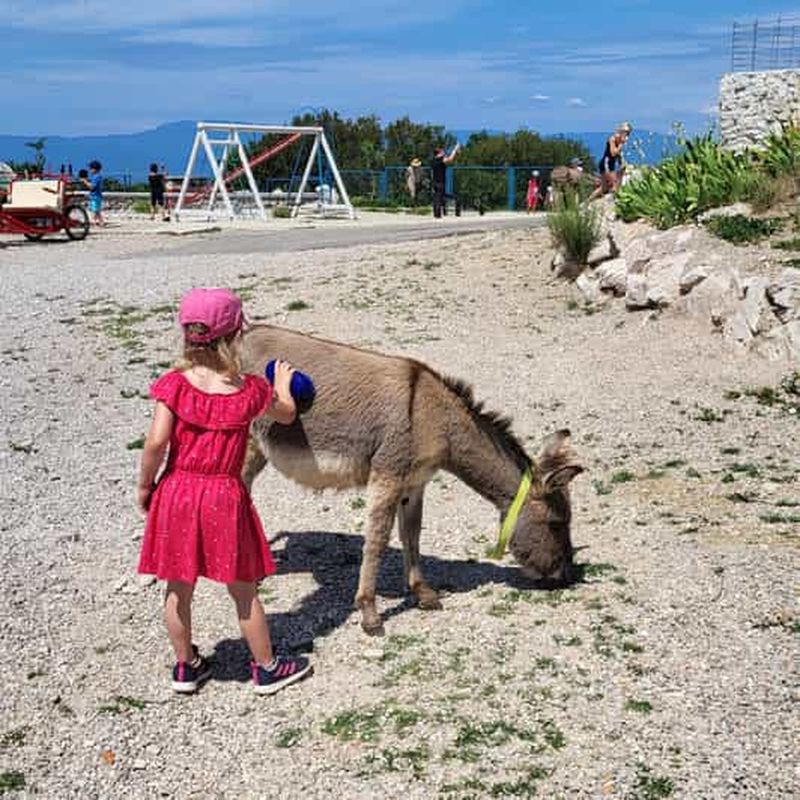 Šmrika (près de Rijeka/Krk/Crikvenica) Ferme de l'âne Amusement familial