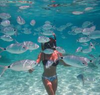 Calvi : Sortie snorkeling en bateau en bordure de réserve