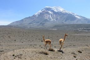 Équateur : Avenue des volcans - Circuit de 7 jours