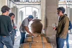 Atelier de création de vin - Bordeaux - Darwin