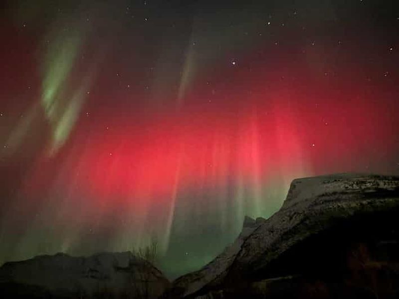 Skibotn : nuit des aurores boréales, traditions samies et rennes