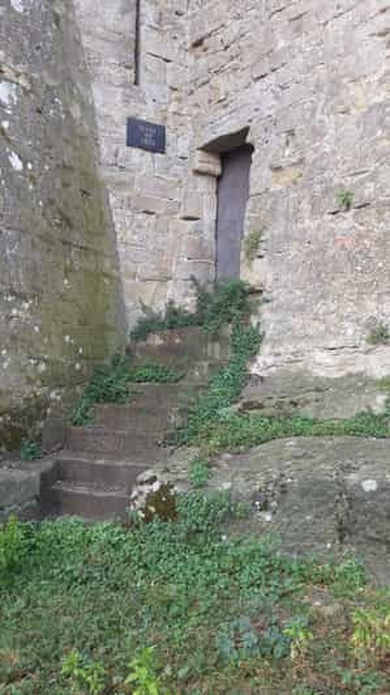 Carcassonne : visite guidée à pied de 1h30 de la cité médiévale