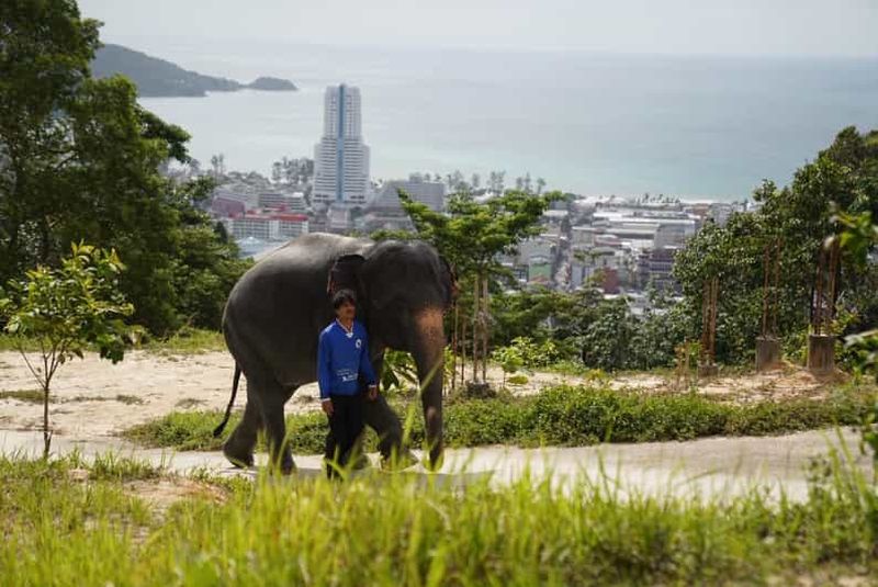 Phuket : visite guidée du sanctuaire des éléphants de Patong
