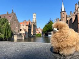 Visite guidée privée de Bruges et Gand avec dégustations