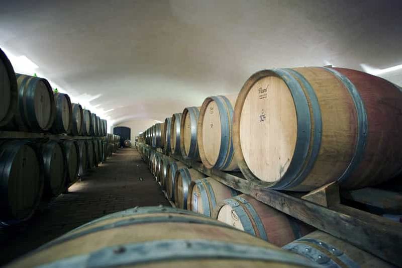 Il Molino di Grace : visite du vignoble et de la cave avec dégustation de vins