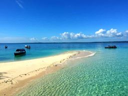 Zanzibar : visite du banc de sable de Nakupenda et de Prison Island, avec déjeuner