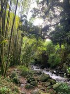 Expérience : Mixologie à Ducos & Évasion à la Rivière, chauffeur privée