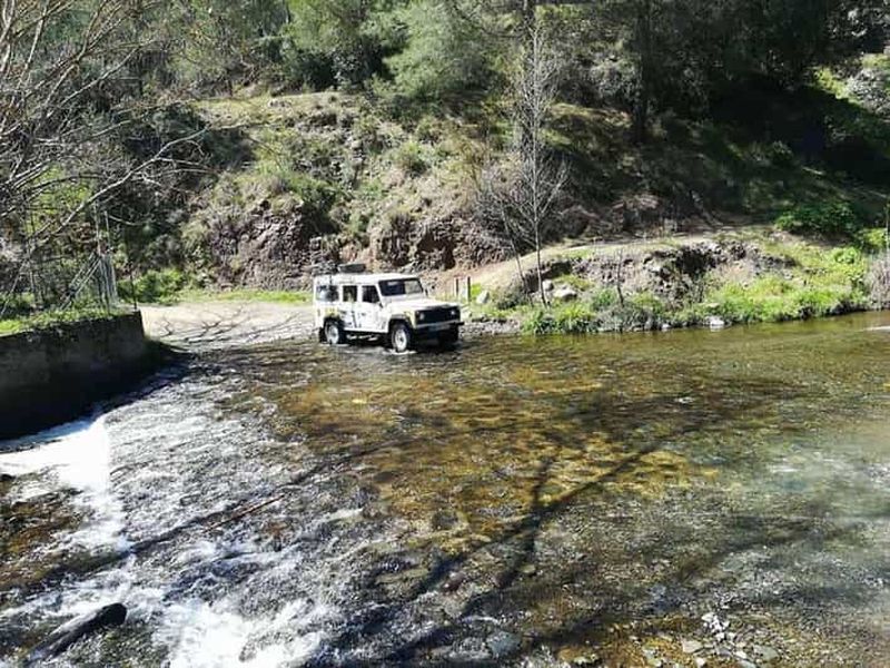 Visite guidée des monts Troodos et du monastère de Kykkos