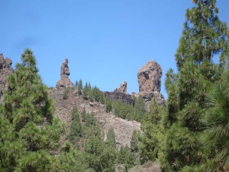 Au départ de Las Palmas : excursion d'une journée au Pico de las Nieves et au Roque Nublo