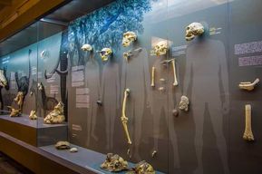 Billet d'entrée pour le musée national de Géorgie