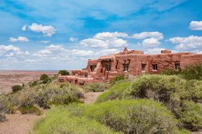 Visite guidée audio du parc national de la forêt pétrifiée