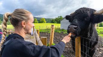 Depuis Inverness : Le château de Cawdor, les cairns de Clava et les Cairngorms