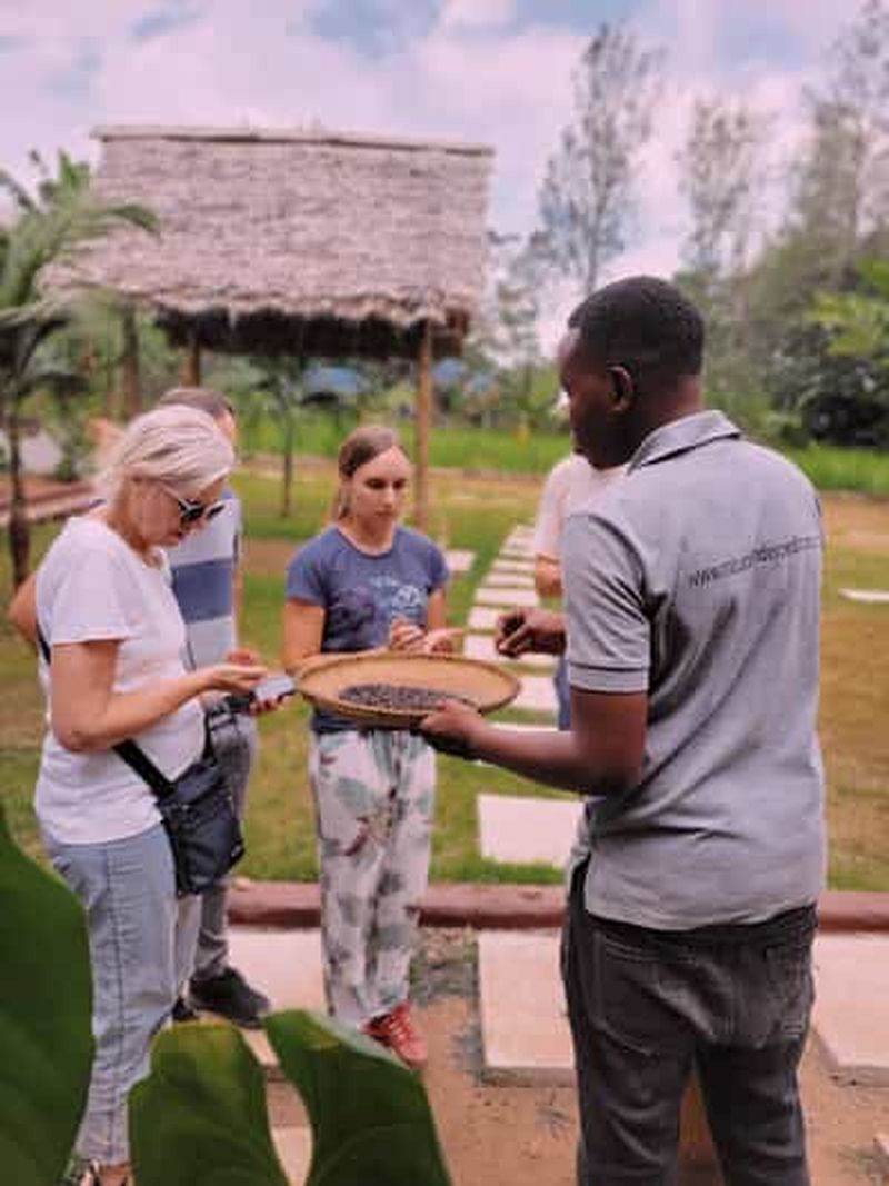 Chute d'eau d'Arusha, visite à pied du village et/ou visite du café