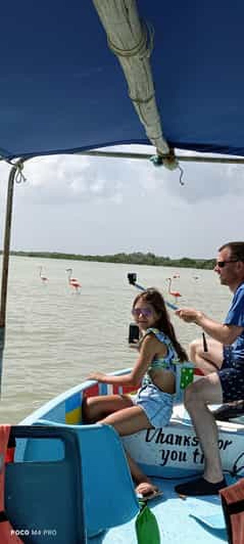 Río Lagartos et Las Coloradas : visite privée de luxe