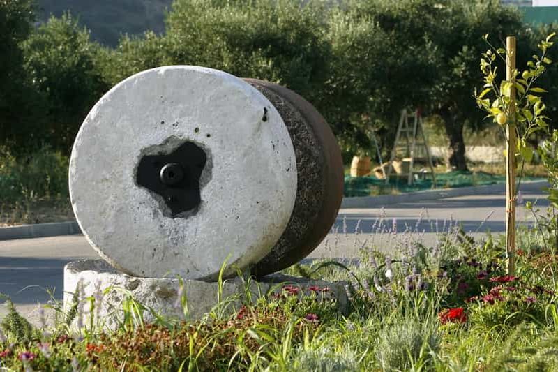 Crète : Dégustation de vin et d'huile d'olive