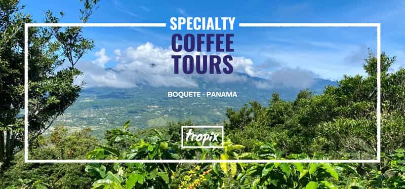 Boquete, Panama : visite privée sur le thème du café