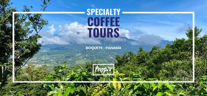 Boquete, Panama : visite privée sur le thème du café