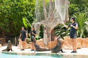 Arona : billet d'entrée au zoo Jungle Park de Tenerife