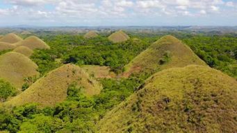 Bohol : Collines de chocolat, croisière sur la rivière Loboc et déjeuner buffet