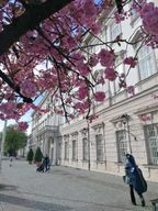 Salzbourg : Concert de musique classique au Mirabell