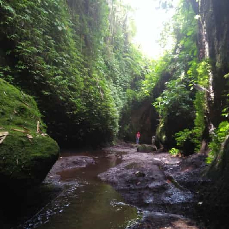 Bali : circuit Tibumana, Tukad Cepung, Kanto Lampo et Tegenungan