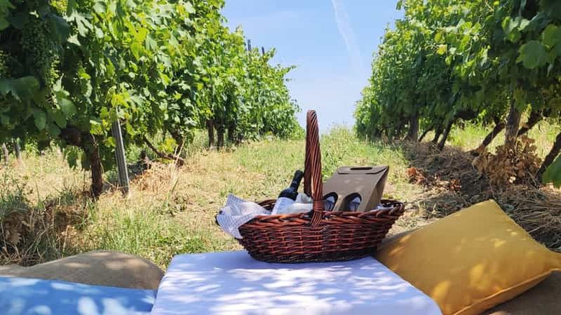 Monferrato : visite du domaine viticole de Garetto et pique-nique privé