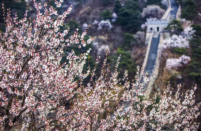 Pékin : transfert privé aller-retour vers la Grande Muraille de Chine