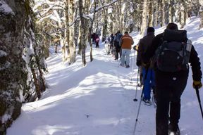 Feldberg : Visite guidée en raquettes à neige dans la Forêt-Noire