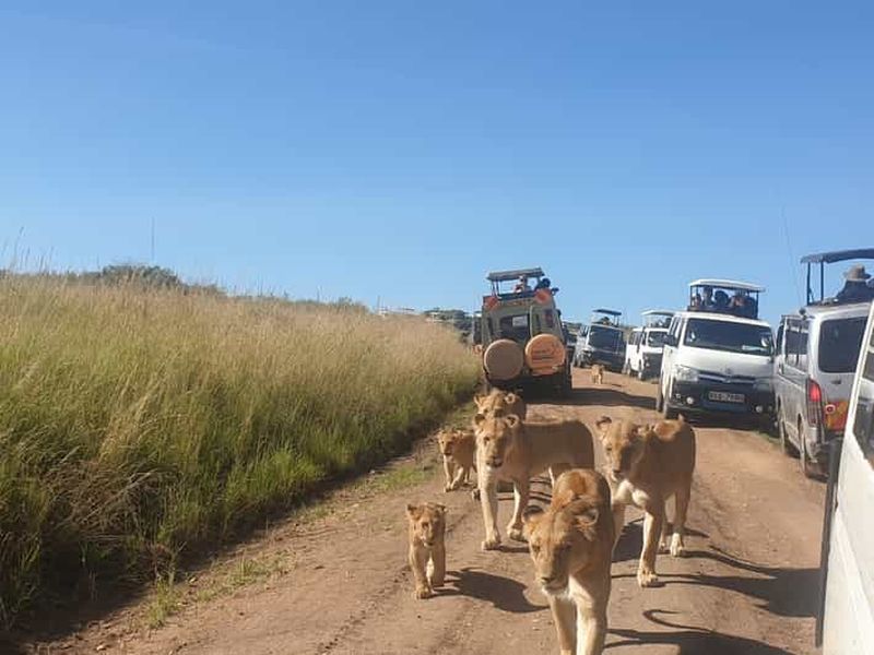 Depuis Nairobi : safari de 3 jours et 2 nuits à Masai Mara