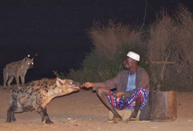 Au départ d'Addis-Abeba : Circuit de 3 jours à Harar avec vols