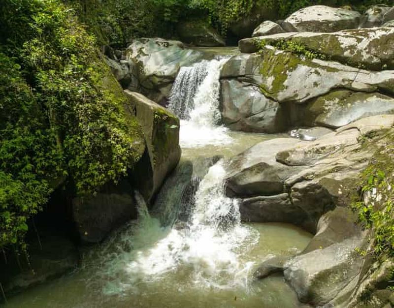 Minca : visite du café, du cacao et de la cascade