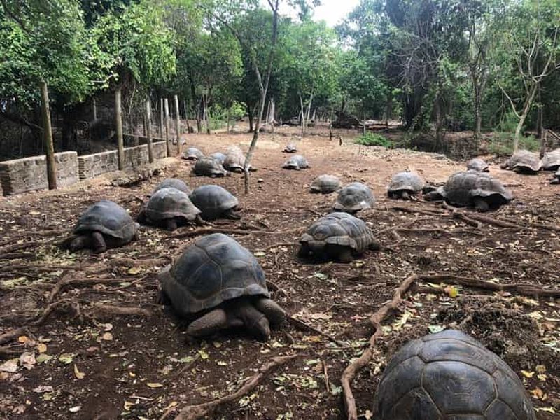 Zanzibar : visite de l'île-prison, de Stone Town et de la ferme aux épices